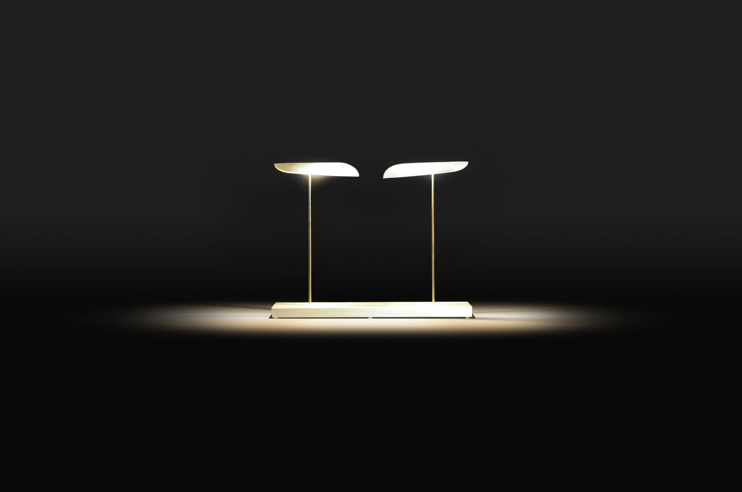 Simple double desk light by Paolo Castelli