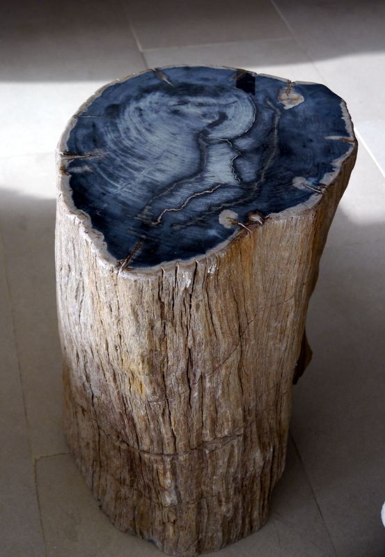 Blue petrified wood table